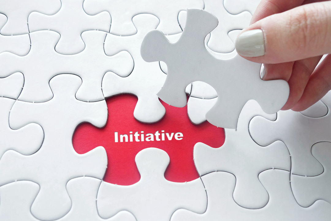 Our Work & Initiatives: Global Advocacy and Direct Action